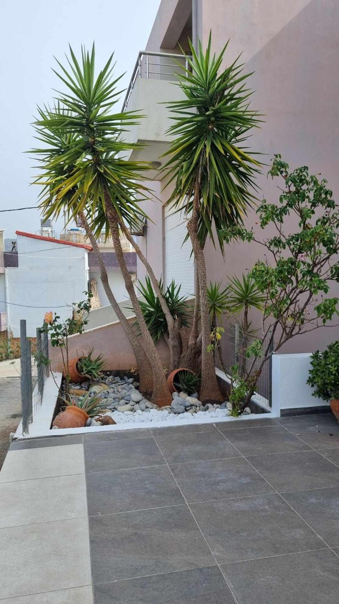 Chania Four Seasons Maisonette 部屋 写真